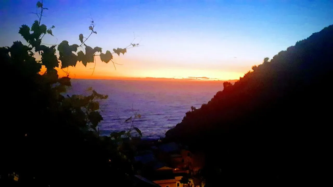 Olimpo Affittacamere Manarola Italie